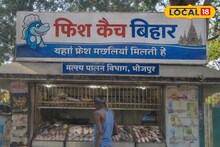 बंद दुकानों में बिकेगी साफ-ताजी मछली, 'फिश कैच बिहार' से बिचौलियों की छुट्टी!