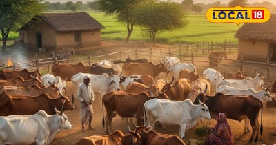 प्रतीकात्मक तस्वीर 