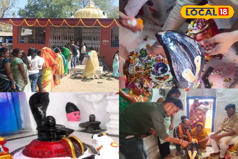 महाशिवरात्रि विशेष: बिलासपुर के टॉप 5 शिव मंदिर, जहां आस्था के साथ दिखती है इतिहास की भव्य झलक 
