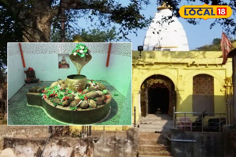 महाशिवरात्रि विशेष: बिलासपुर के टॉप 5 शिव मंदिर, जहां आस्था के साथ दिखती है इतिहास की भव्य झलक 