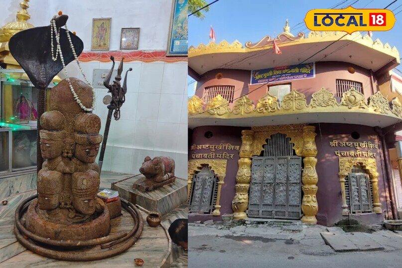 महाशिवरात्रि विशेष: बिलासपुर के टॉप 5 शिव मंदिर, जहां आस्था के साथ दिखती है इतिहास की भव्य झलक 