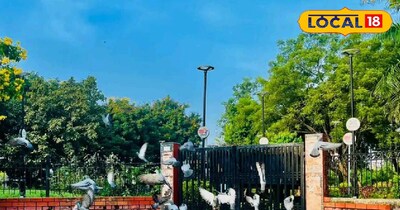 जबलपुर का मौसम.