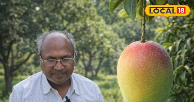 विक्रेता ने दी जानकारी 