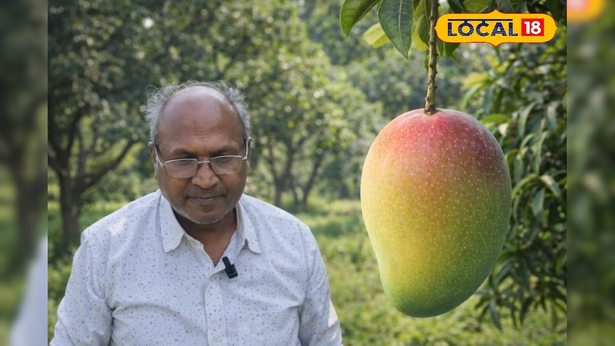 कई लाख रुपए किलो बिकता है यह आम, कैमरों से की जाती है निगरानी, चौका देगी एक पौधे की कीमत