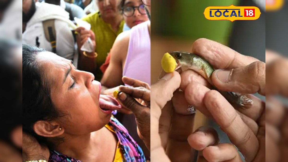 हैदराबाद में जिंदा मछली के साथ दिया जाता है ‘प्रसाद’! मृगशिरा कार्ति पर उमड़ता जनसैलाब, इलाज या आस्था?