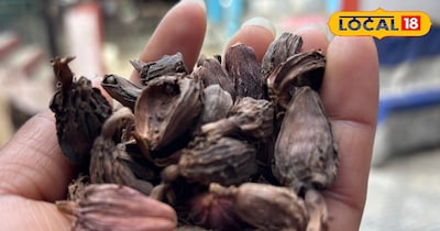 हिमालयी क्षेत्रों की बड़ी इलायची <br>