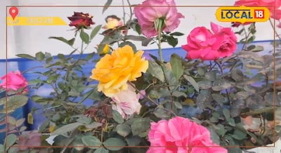 अब छत पर उगेगी घास और फूल कम बजट में मिनी गार्डन होगा तैयार