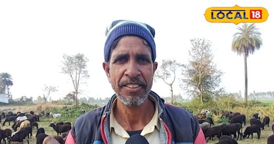 50 भेड़ों ने बदल दी जिंदगी, बिना ज्यादा खर्च हर साल लाखों की पक्की कमाई 