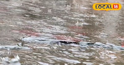 राजस्थान में बारिश का अलर्ट 