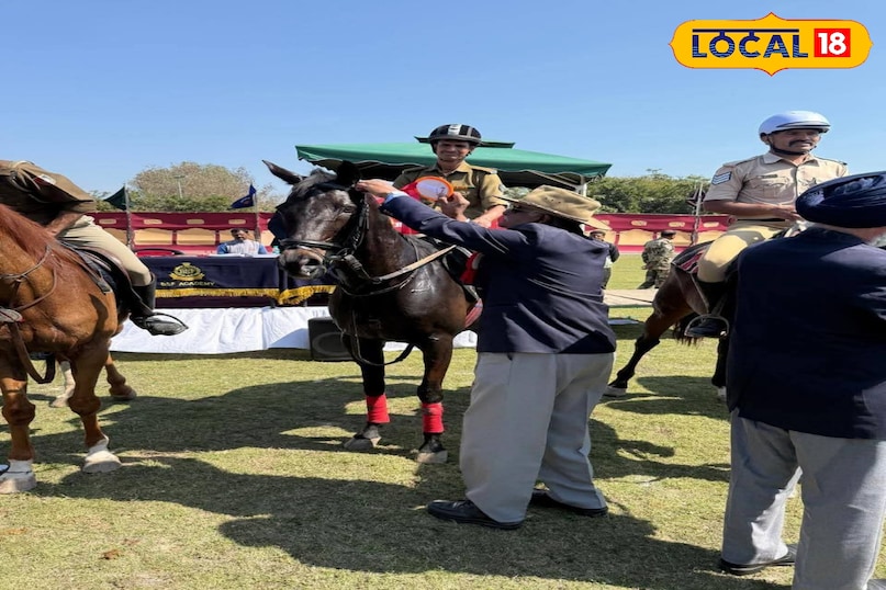 Ara News, ara Hindi News, ara Latest News, bhojpur Today News, bhojpur District halchal, News of ara, Bihar News, Bihar Hindi News, Hindi News, Bihar Today News, Bihar Latest News, local 18 news आरा केओ, आरा हिंदी न्यूज, भोजपुर लेटेस्ट न्यूज, आरा टुडे न्यूज, भोजपुर जिले की हलचल, खबर भोजपुर की, बिहार न्यूज, बिहार हिंदी न्यूज, हिंदी न्यूज, बिहार टुडे न्यूज, बिहार लेटेस्ट, लोकल 18 न्यूज