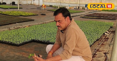 तरबूज और खरबूज गर्मी की प्रमुख नकदी फसलें हैं.