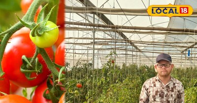 A new agri-startup model emerged from a village in Jamshedpur, with 'Jumbo Tomat