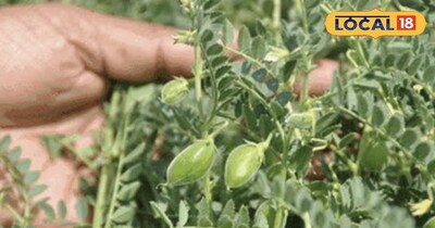 प्रतीकात्मक