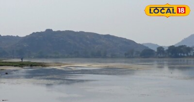 विदेशी बर्ड्स का गढ़ बना जहानाबाद