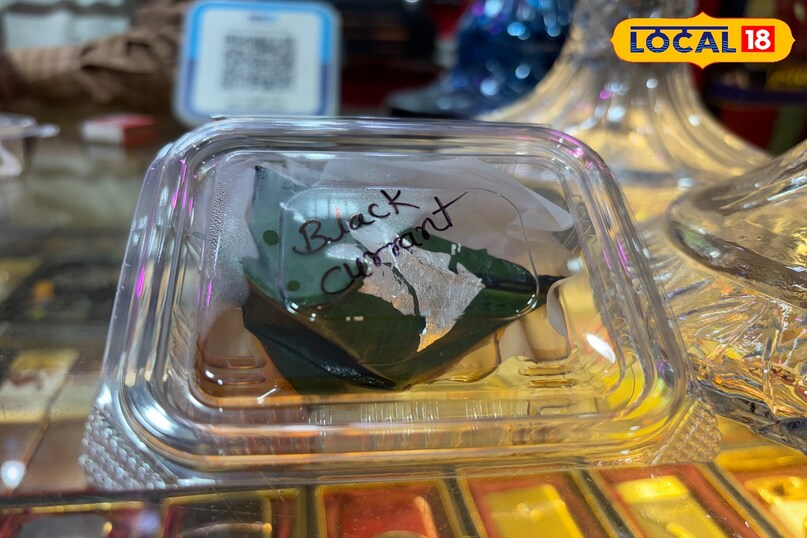 ब्लैक करंट पैन 