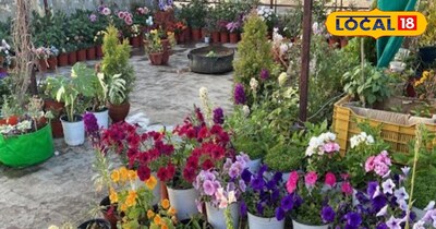 गार्डनिंग का शौक रखने वाले इन बातों को रखे याद