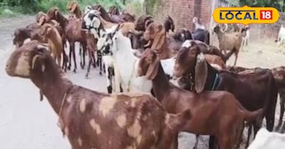 प्रतीकात्मक