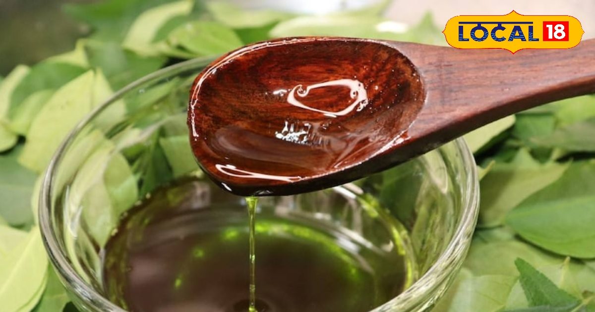 Tips: हेयर डाई को कहें बाय! करी पत्ता-मेथी से घर पर बनाएं आयुर्वेदिक तेल, सफेद बाल फिर से होंगे काले