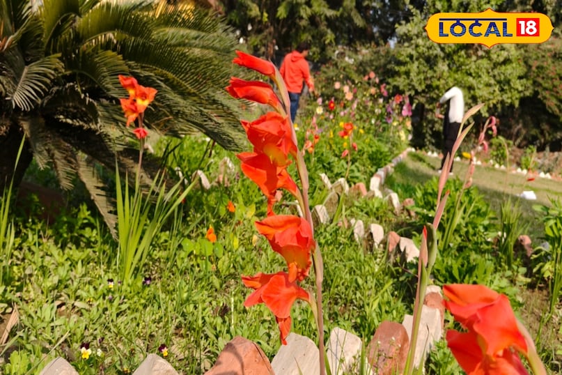 मिट्टी की तैयारी