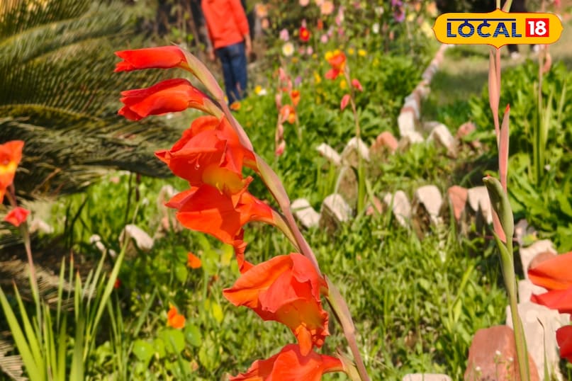 धूप और पानी