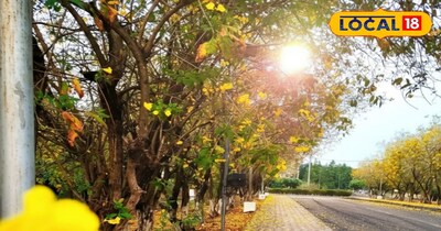 पतझड़ वाला मौसम शुरू 