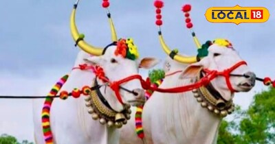 प्रतीकात्मक