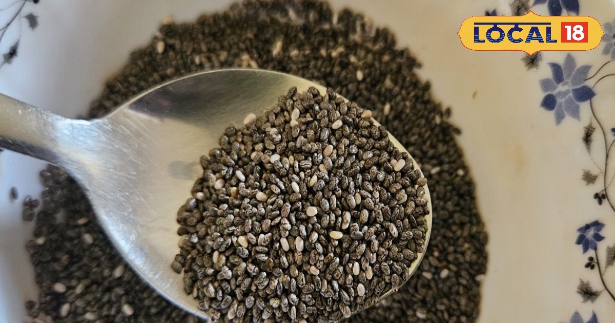 हर किसी के लिए फायदेमंद नहीं हैं चिया सीड्स, इन लोगों को रहना चाहिए सावधान