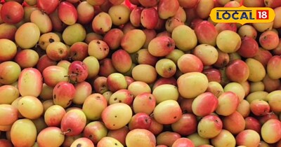 रामनगर के चीमा दंपत्ति ने शुरू की एप्पल बेर की खेती