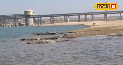 चंबल नदी