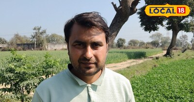 डीग में बरसीम से बढ़ा दूध उत्पादन.