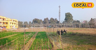 अश्वगंधा का उपयोग सपोर्टिव थेरेपी के रूप में, सामने आया है जो बेहद कमाल है.