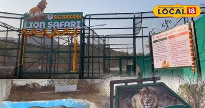 Sajjangarh Lion Safari