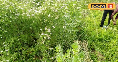 बहु फसली खेती.