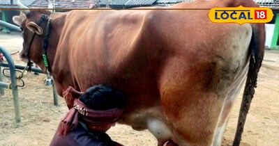 बालाघाट न्यूज 