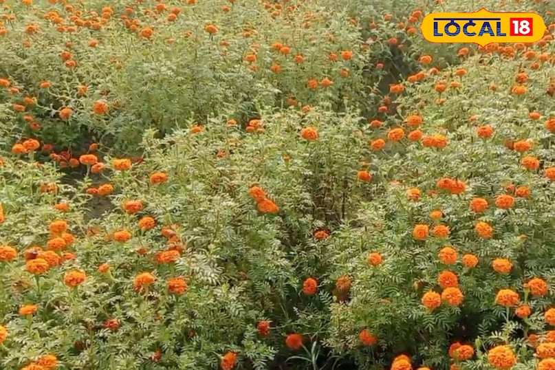 উত্তেজনা শেষ 