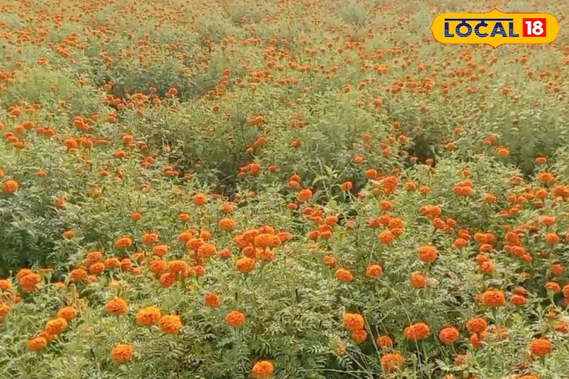 সতর্কতাও জরুরি 