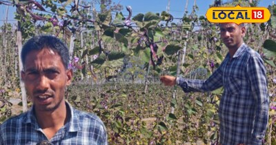 एम ए पास किसान