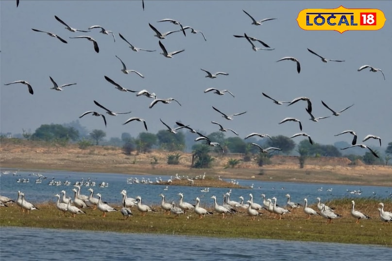 Tourism, tourism in Bihar, hill station near Bihar, tourist places, vacations places in Bihar, Hill station, छुट्टियों में कहां घूमें, बिहार की सबसे अच्छी जगह कौन सी है, local 18, Bihar