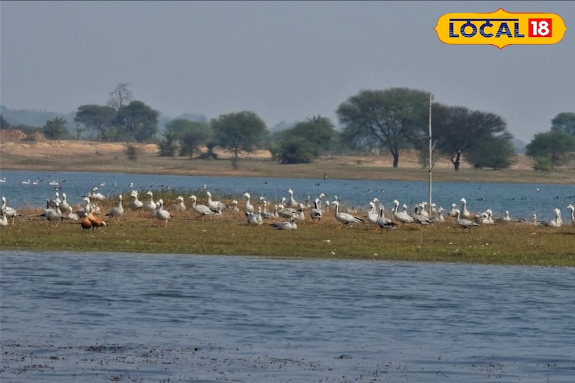 Tourism, tourism in Bihar, hill station near Bihar, tourist places, vacations places in Bihar, Hill station, छुट्टियों में कहां घूमें, बिहार की सबसे अच्छी जगह कौन सी है, local 18, Bihar