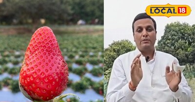 प्रतीकात्मक तस्वीर 