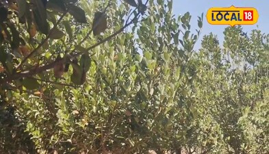 प्रतीकात्मक