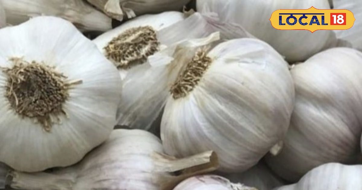 कच्चे लहसुन का करते हैं सेवन, तो हो जाएं सावधान..यहां जानिए नुकसान