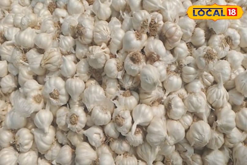 মোরাদাবাদ খবর, হিন্দি খবর, আপ খবর, স্থানীয় খবর, মোরাদাবাদ খবর, হিন্দি খবর, ইউপি খবর, স্থানীয় খবর।