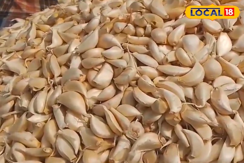 মোরাদাবাদ খবর, হিন্দি খবর, আপ খবর, স্থানীয় খবর, মোরাদাবাদ খবর, হিন্দি খবর, ইউপি খবর, স্থানীয় খবর।