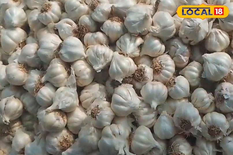 মোরাদাবাদ খবর, হিন্দি খবর, আপ খবর, স্থানীয় খবর, মোরাদাবাদ খবর, হিন্দি খবর, ইউপি খবর, স্থানীয় খবর।