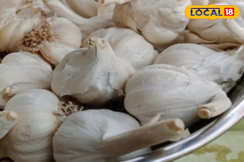 মোরাদাবাদ খবর, হিন্দি খবর, আপ খবর, স্থানীয় খবর, মোরাদাবাদ খবর, হিন্দি খবর, ইউপি খবর, স্থানীয় খবর।