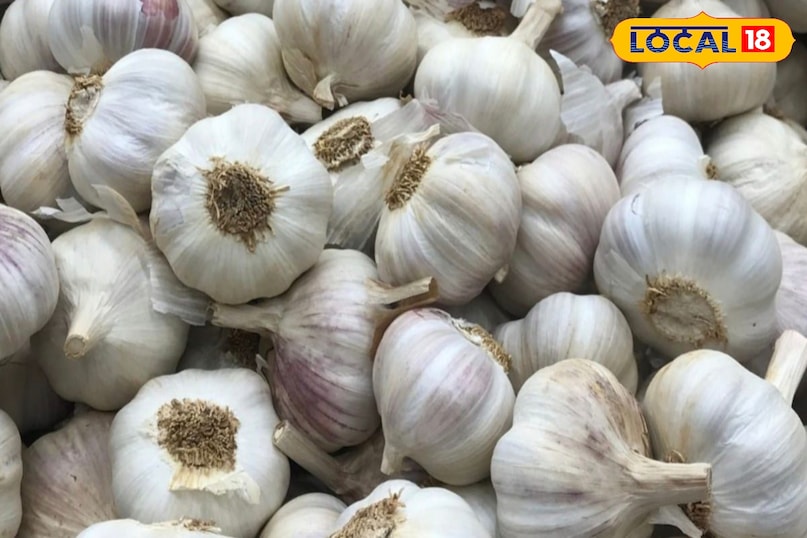 মোরাদাবাদ খবর, হিন্দি খবর, আপ খবর, স্থানীয় খবর, মোরাদাবাদ খবর, হিন্দি খবর, ইউপি খবর, স্থানীয় খবর।