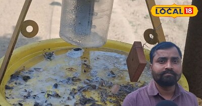 यांत्रिक विधि से कीटों का नियंत्रण