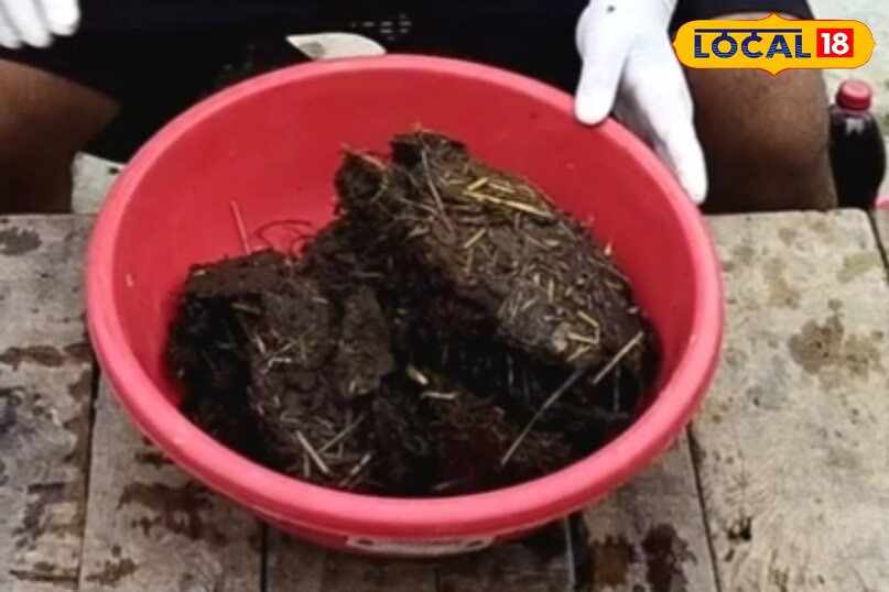 किसान ओंकारनाथ बताते है कि वो अपनी सारी खेती में जैविक तकनीक अपनाते है. इसके लिए वो उपलों से भी खाद तैयार करते है. उन्होंने कहा कि सबसे पहले सूखे उपलों को छोटे-छोटे टुकड़ों में तोड़ लें. इन टुकड़ों को किसी बाल्टी या बड़े बर्तन में डालें. अब इसमें इतना पानी मिलाएं कि उपले अच्छी तरह भीग जाएं. बर्तन को ढककर 2 से 3 दिन के लिए छोड़ दें. इस दौरान उपले नरम होकर घुलने लगेंगे और पोषक तत्व पानी में मिल जाएंगे. किसान ओंकारनाथ बताते है कि वो अपनी सारी खेती में जैविक तकनीक अपनाते है. इसके लिए वो उपलों से भी खाद तैयार करते है. उन्होंने कहा कि सबसे पहले सूखे उपलों को छोटे-छोटे टुकड़ों में तोड़ लें. इन टुकड़ों को किसी बाल्टी या बड़े बर्तन में डालें. अब इसमें इतना पानी मिलाएं कि उपले अच्छी तरह भीग जाएं. बर्तन को ढककर 2 से 3 दिन के लिए छोड़ दें. इस दौरान उपले नरम होकर घुलने लगेंगे और पोषक तत्व पानी में मिल जाएंगे.