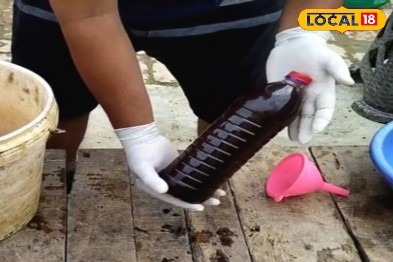 उन्होंने बताया कि आज के दौर में जहां केमिकल खाद के दुष्प्रभाव सामने आ रहे हैं, वहां उपलों की खाद एक सुरक्षित और किफायती विकल्प है. यह आसानी से उपलब्ध होती है और हर तरह के घरेलू पौधों के लिए फायदेमंद मानी जाती है. अगर आप भी अपने पौधों को प्राकृतिक तरीके से स्वस्थ रखना चाहते हैं, तो इस उपाय को जरूर अपनाएं. उन्होंने बताया कि आज के दौर में जहां केमिकल खाद के दुष्प्रभाव सामने आ रहे हैं, वहां उपलों की खाद एक सुरक्षित और किफायती विकल्प है. यह आसानी से उपलब्ध होती है और हर तरह के घरेलू पौधों के लिए फायदेमंद मानी जाती है. अगर आप भी अपने पौधों को प्राकृतिक तरीके से स्वस्थ रखना चाहते हैं, तो इस उपाय को जरूर अपनाएं.